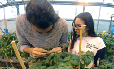 Two students look at plants in a greenhouse. 