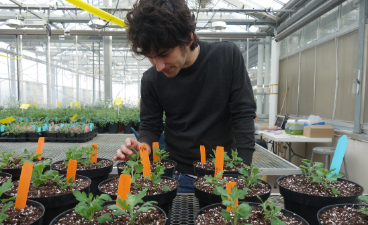 man in black shirt investigating plant propagations in a greenhouse