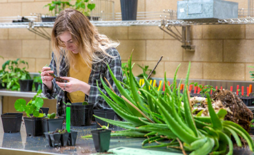 student inspects a plant propagation in a lab