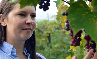 Laise Moreira examines red grapes in a vineyard. 