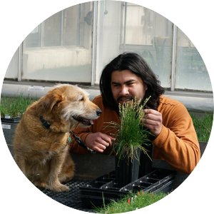 Joan Ortiz holds a clump of grass for a dog to see while inside of a greenhouse