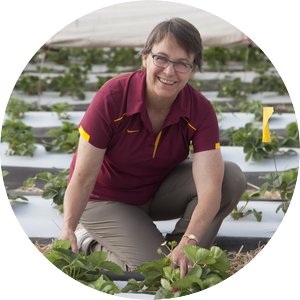 Emily Hoover wearing a maroon polo squatting in front of a row of plants 