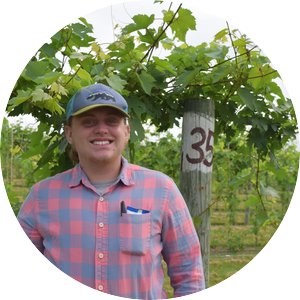 Doug Vines standing in a vineyard. 