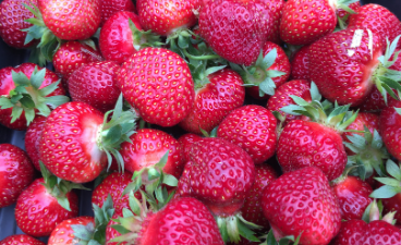 a pile of bright red strawberries