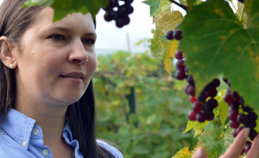 woman looking at a vine of purple grapes