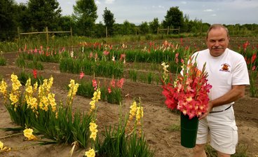 Dr. Neil Anderson standing in a field of Gladiolus flowers. 