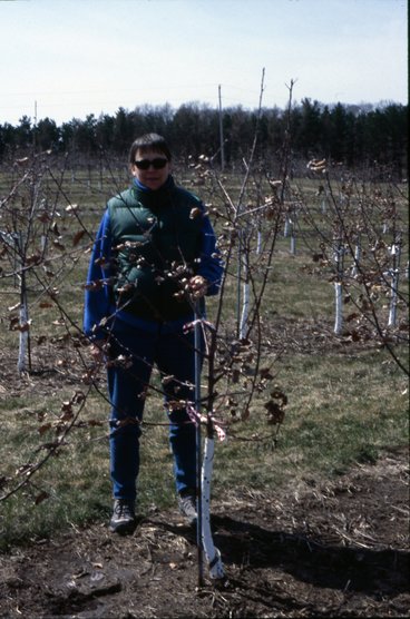 Dr. Hoover standing in an orchard of an apple production trial in 2001. 