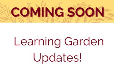 Coming soon: Learning Garden Updates!